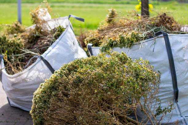 Shed Removal in Palouse, WA