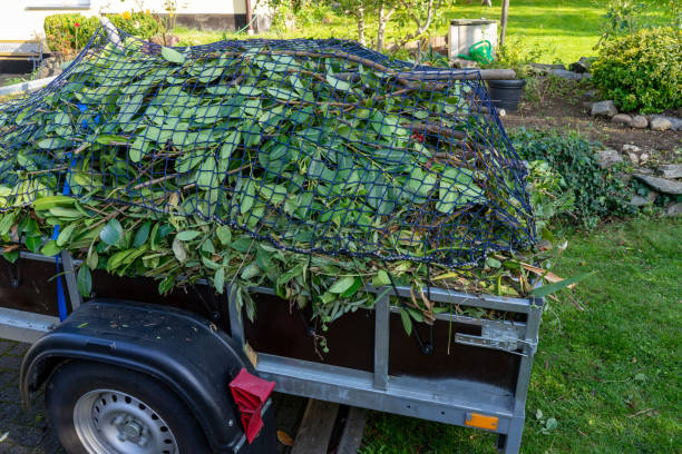 Best Moving and Downsizing Cleanouts  in Palouse, WA